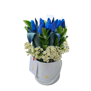 Box de 12 tulipanes azules